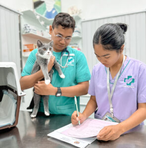 pet relocation